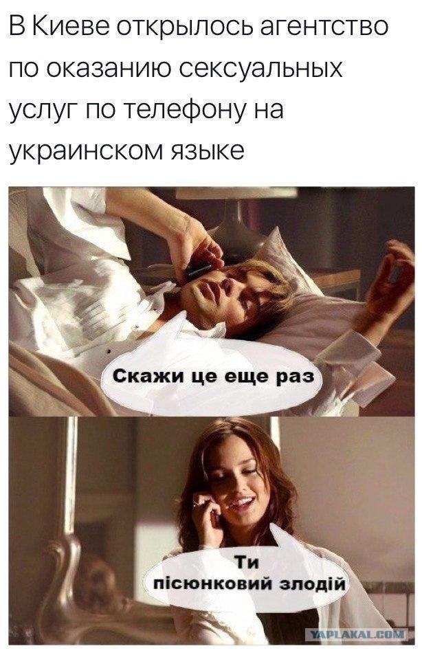 Так себе картинки 23.06.22