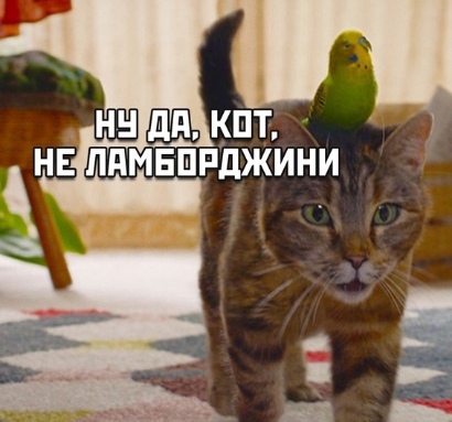 Так себе картинки 23.09.22