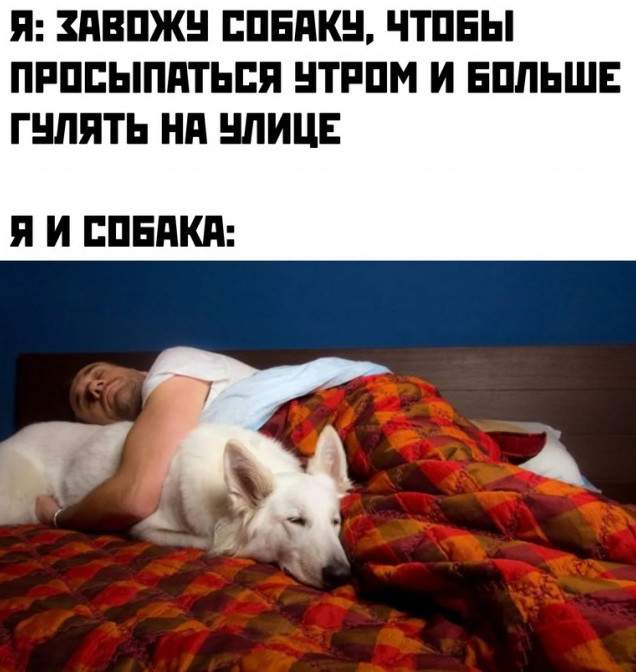 Картинки и мемы, всем хороших выходных