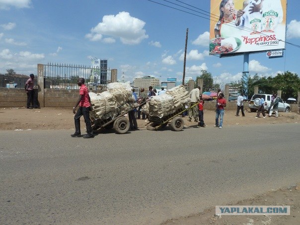 AFRICA - (Эфиопия,Кения,Танзация) 4-16 ноября 2011