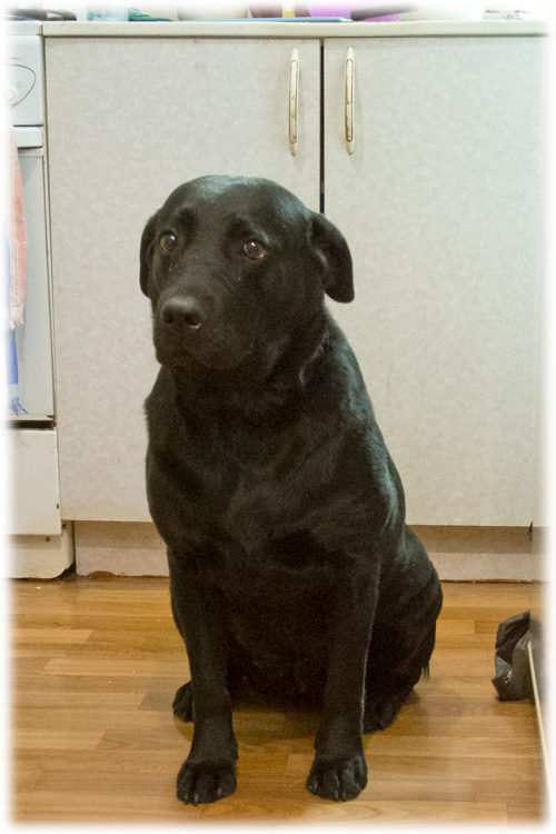 Острые томатные супы, Mitsv + FrauMarta = помидор