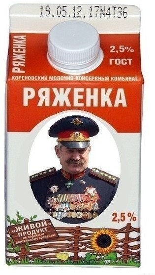Глава оборонного комитета Госдумы призвал доверить гражданским охрану границ России
