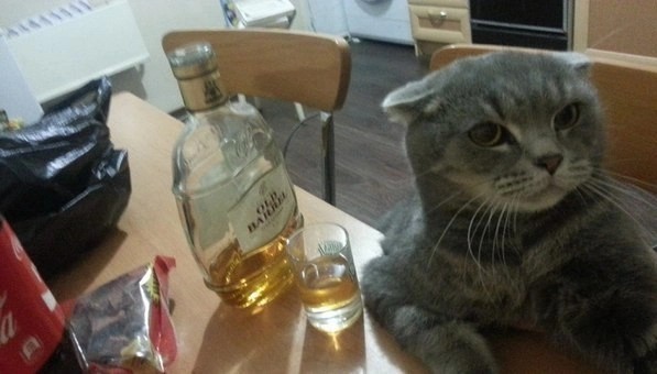 Ну наконец-то