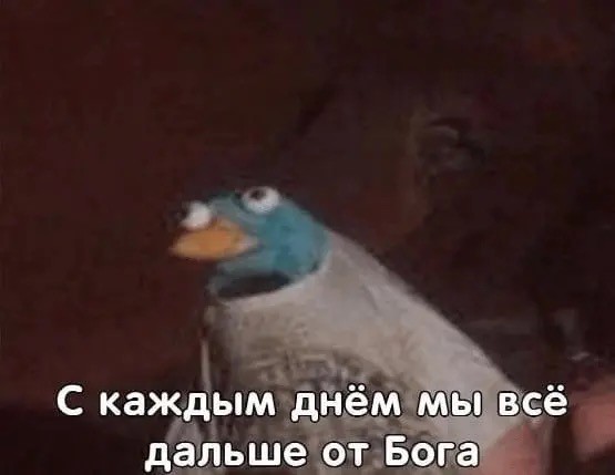 Стиль прически спровоцировал массовую драку между молодежью в Нижнем Новгороде