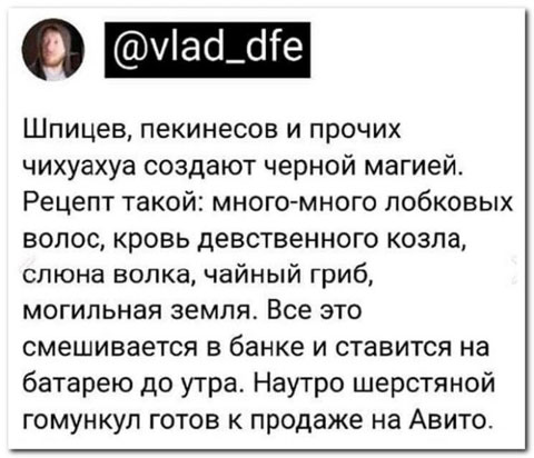 Забавные комментарии из социальных сетей (30.10.23)