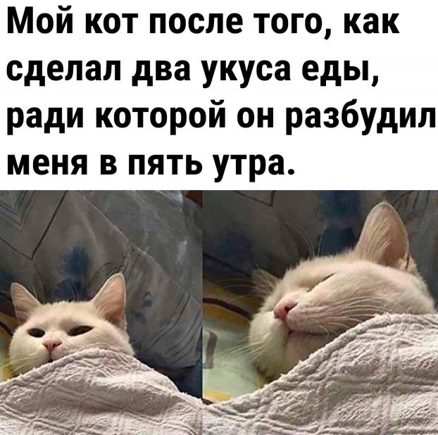 Вечная история. Я начальник, ты - дурак
