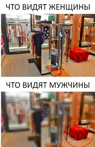 Отряд быстрого деградирования