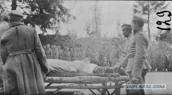 22 января исполнилось 120 лет со дня рождения Аркадия Петровича Гайдара