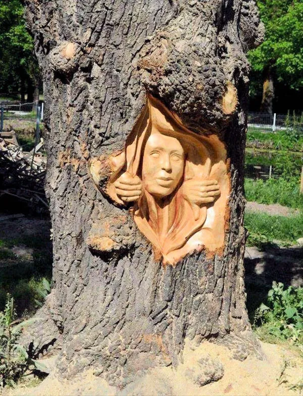 ФотоВинегрет