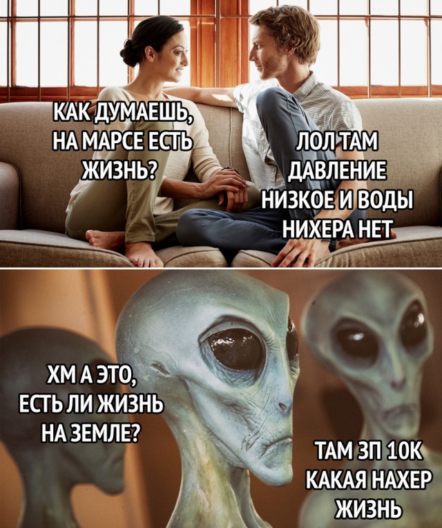 Прикольные и просто красивые картинки 01.11.2024