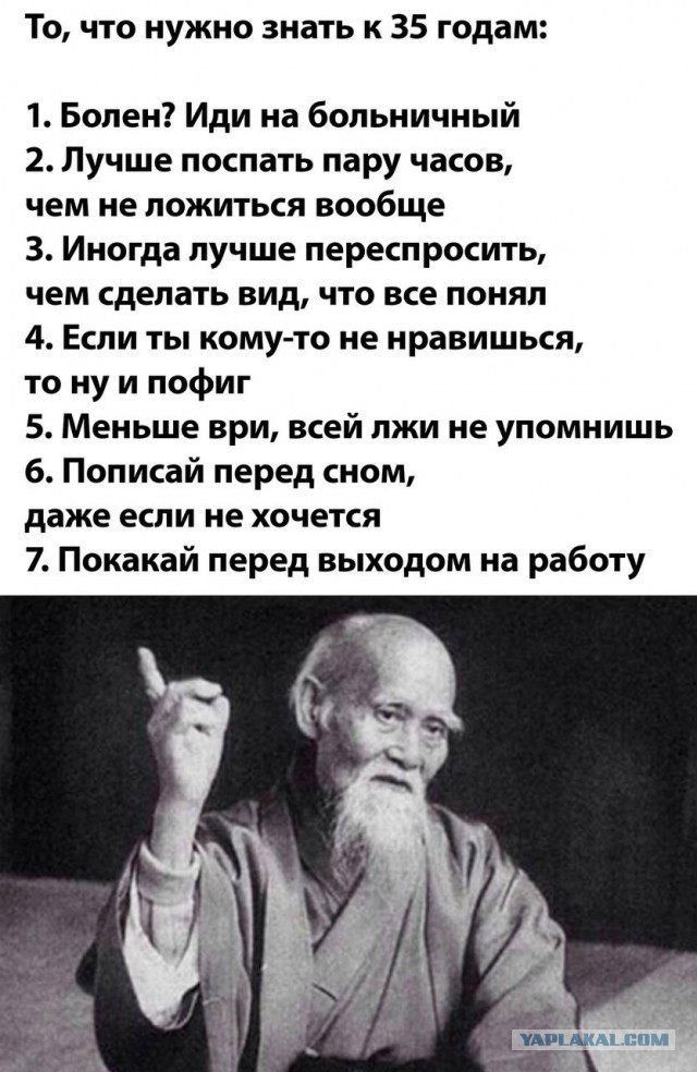 Весёлый полтишок 19.12.24