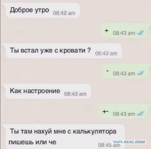 Баяны, очень баяны, но думаю улыбнёт