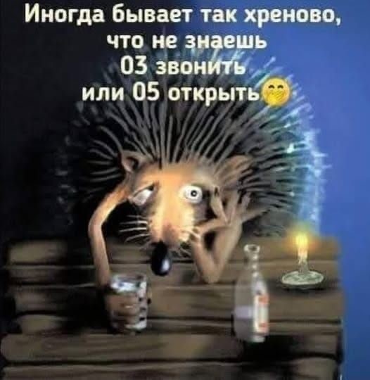 Прикольные и просто красивые картинки 11.04.2025