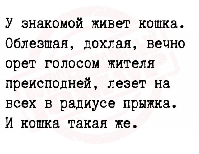 Картинки своеобразного юмора.