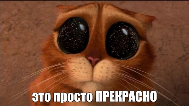 Внезапное нападение.