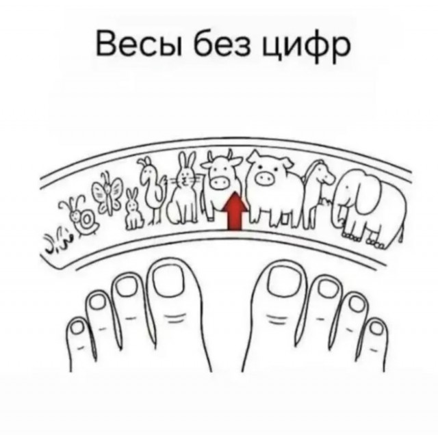 Так себе картинки 01.10.25