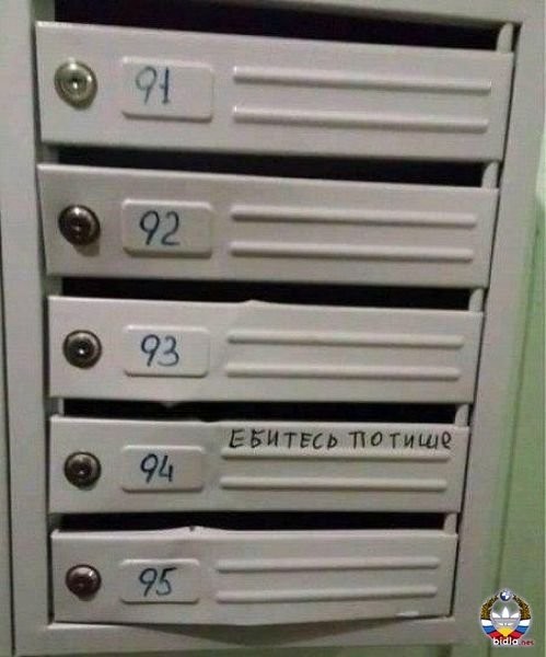 Прикольные и просто красивые картинки 17.10.2025