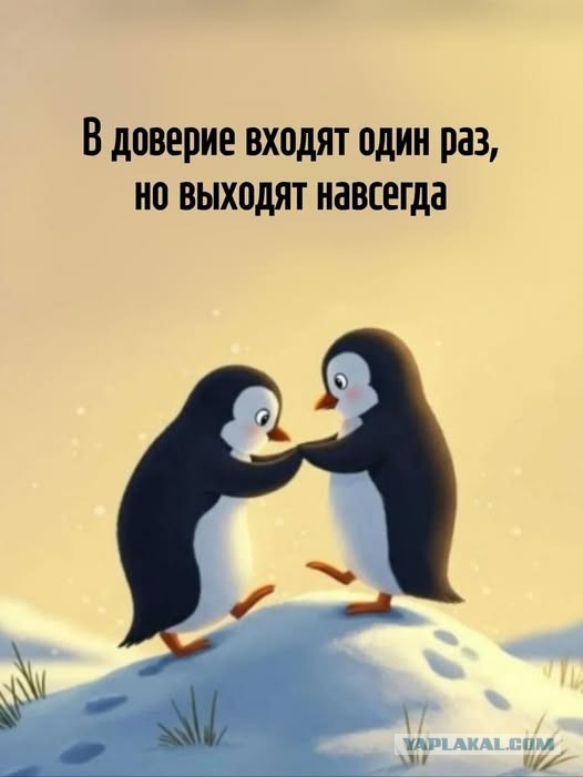 Субботние картинки