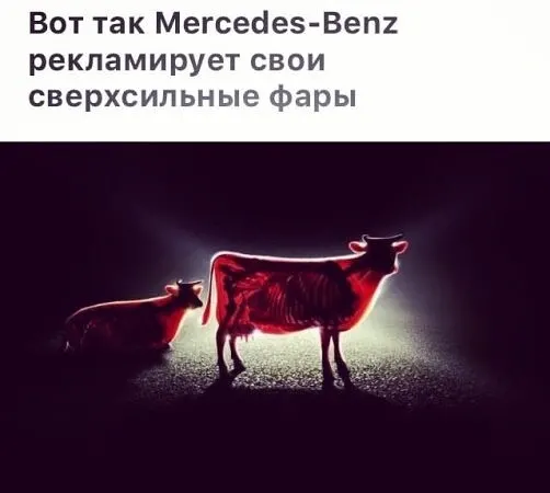 20585846.webp