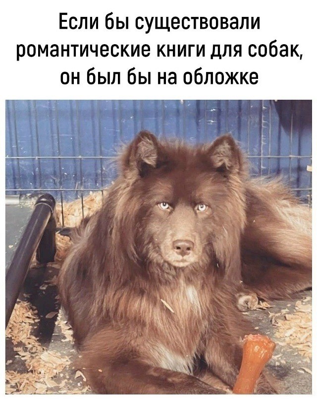 Среды картинки