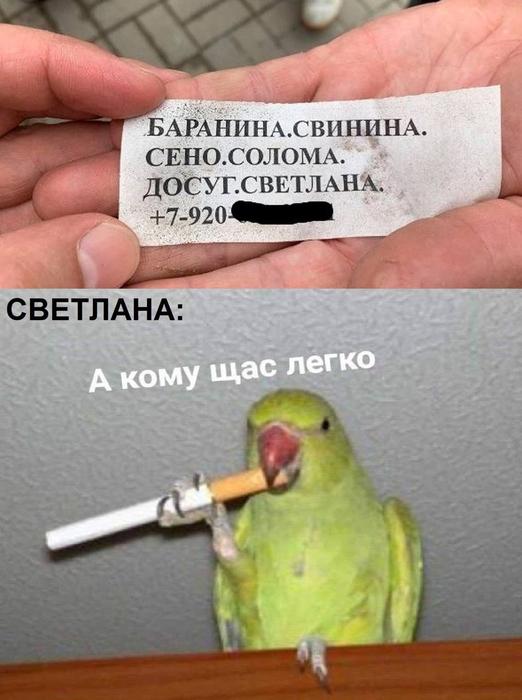 Картинки для деградации 144 (разной степени свежести)