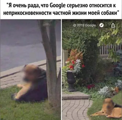 Картиночки, баянчики 13 марта
