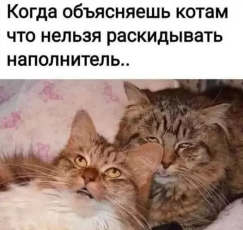 Котямбосы