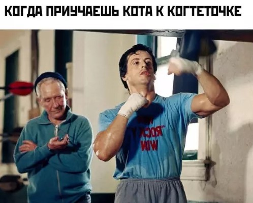 Картиночки, баянчики 01 апреля