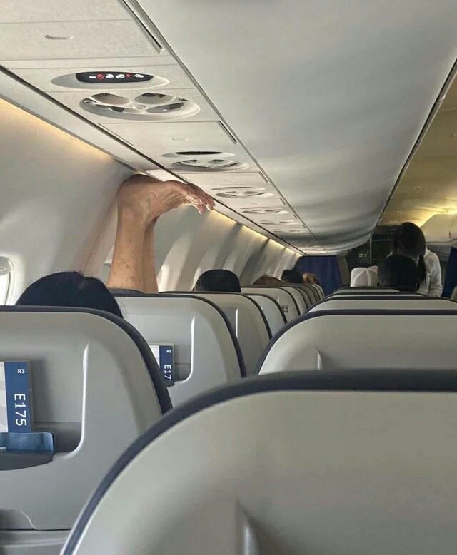 Картиночки, баянчики 24 апреля