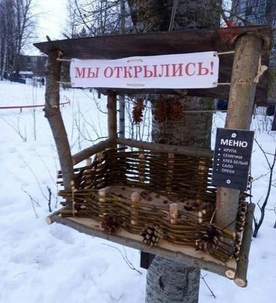 Вторника картинки