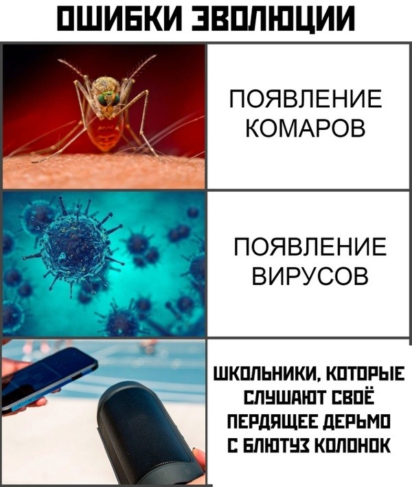Картиночки, баянчики 14 июня