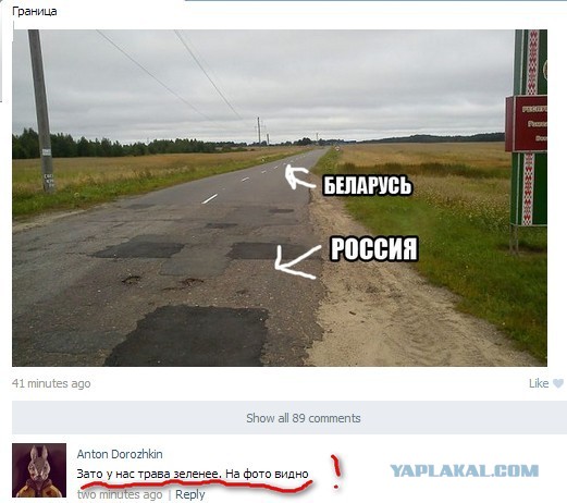 Смешные комментарии из социальных сетей