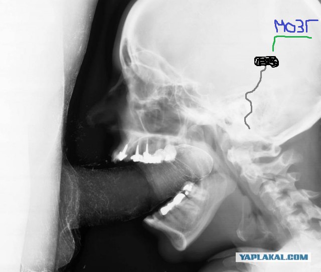 В МИД России ответили США