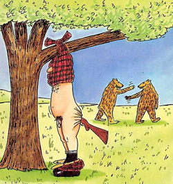 За "Добролет" ответите!