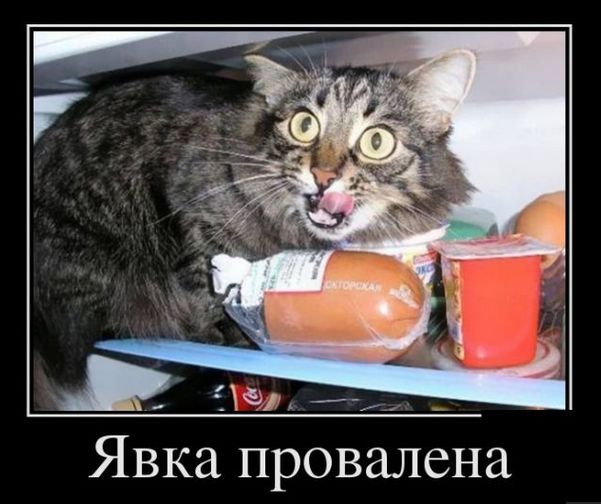 Смешное из сети #2