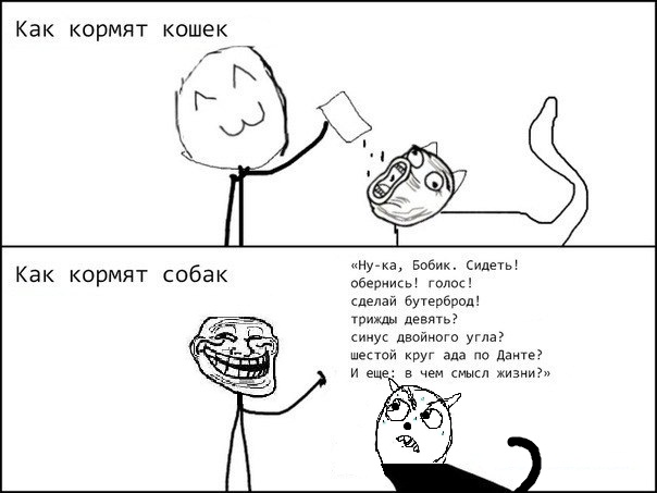 Как кормят кошек и собак!