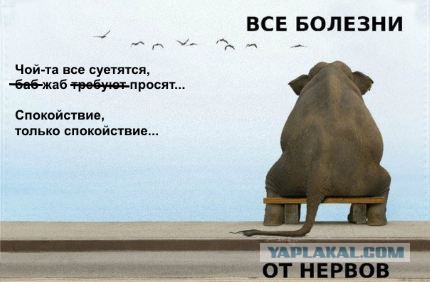 Второй этап конкурса «Шеф-повар 2014»