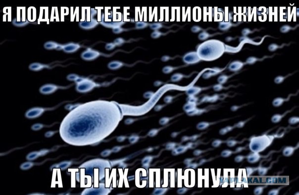 Весёлое из сети