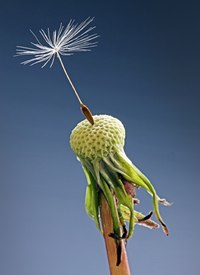 Смачно перданула!