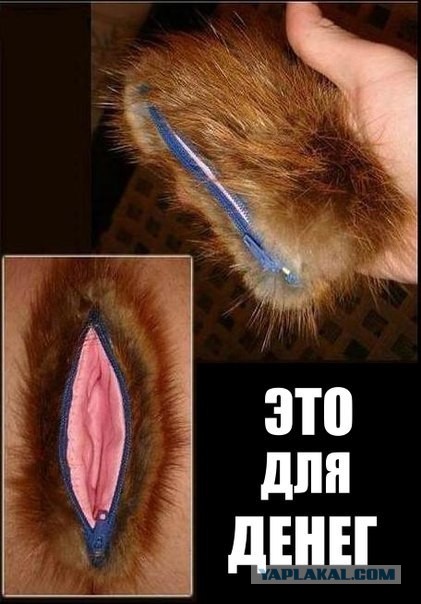Брить или не брить?