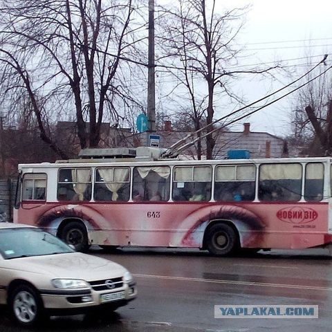 Забавные картинки из Сети