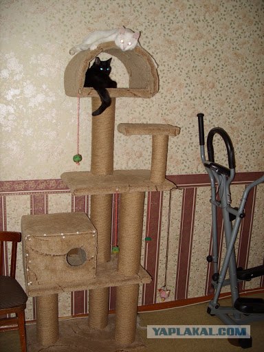 Домик для котейки