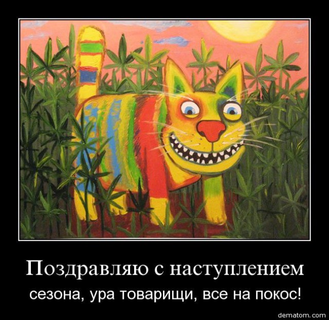 Доказательство жизни после смерти.
