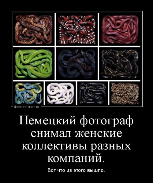 Веселые картинки