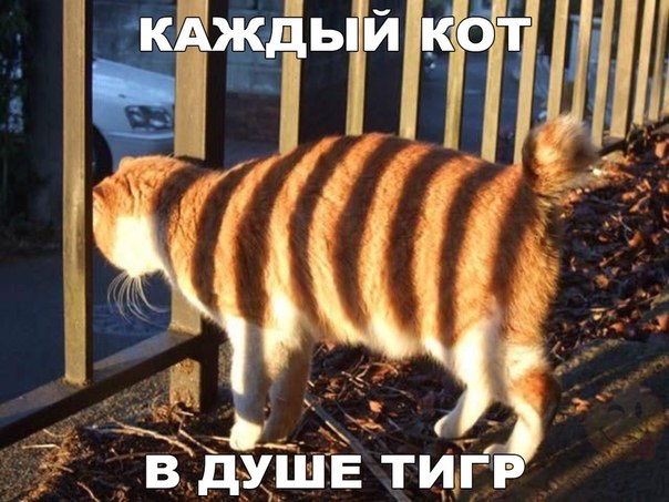 Картинки на пятницу