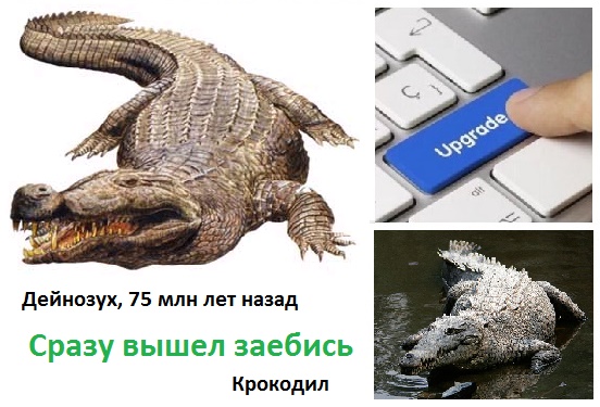 Кнопка прокачки