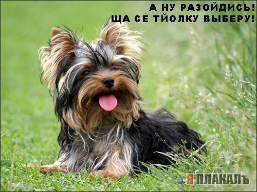 Уже да :) Ужо пятнецца...