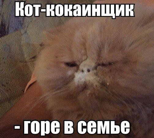 Подборка картинок