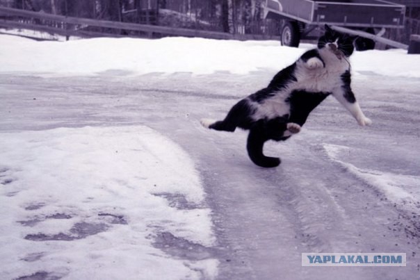 Воскресная подборка картинок