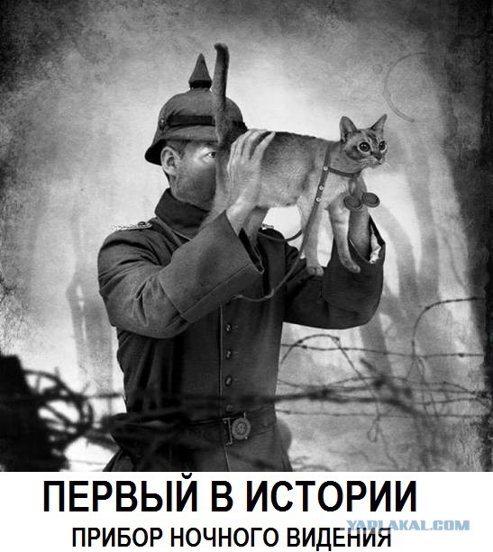 Подборка картинок